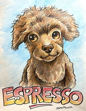 Pet caricatures Live Montreal pet caricature artist
